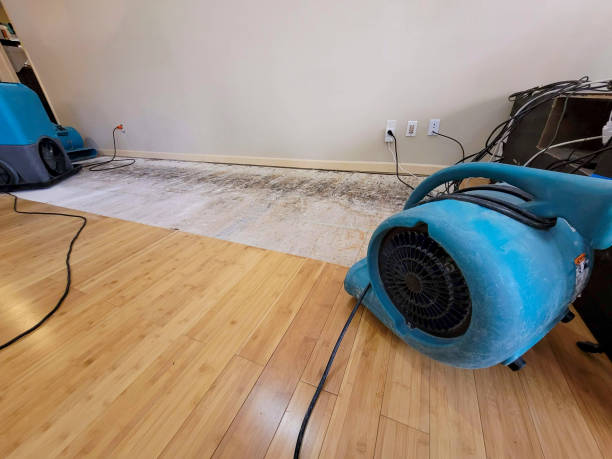 Professional Structural Drying technician working in Ducor, CA